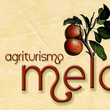 Agriturismo Il Melo Valfabbrica Kültér fotó