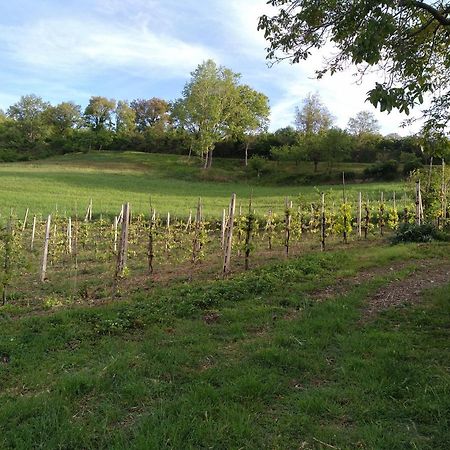 Agriturismo Il Melo Valfabbrica Kültér fotó