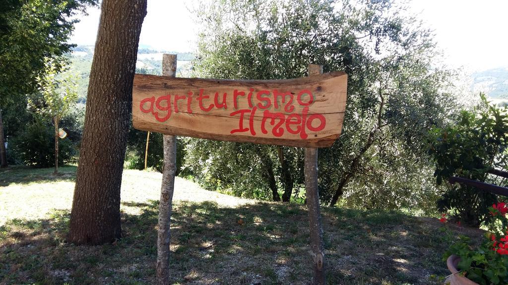 Agriturismo Il Melo Valfabbrica Kültér fotó