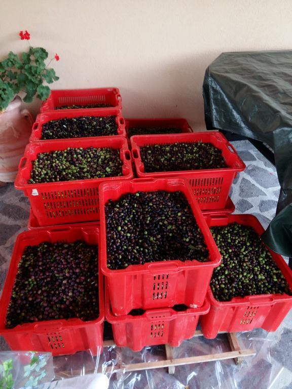 Agriturismo Il Melo Valfabbrica Kültér fotó