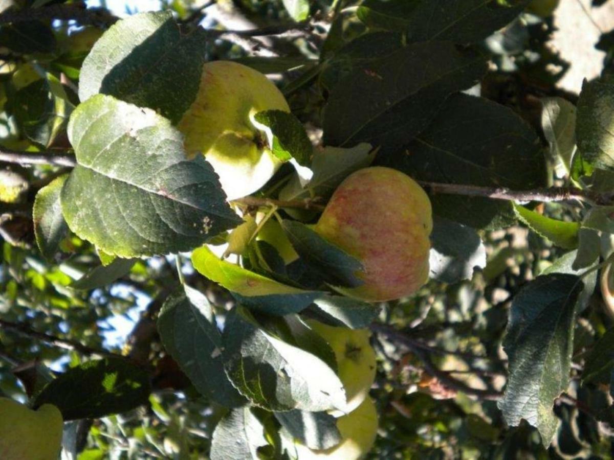 Agriturismo Il Melo Valfabbrica Kültér fotó