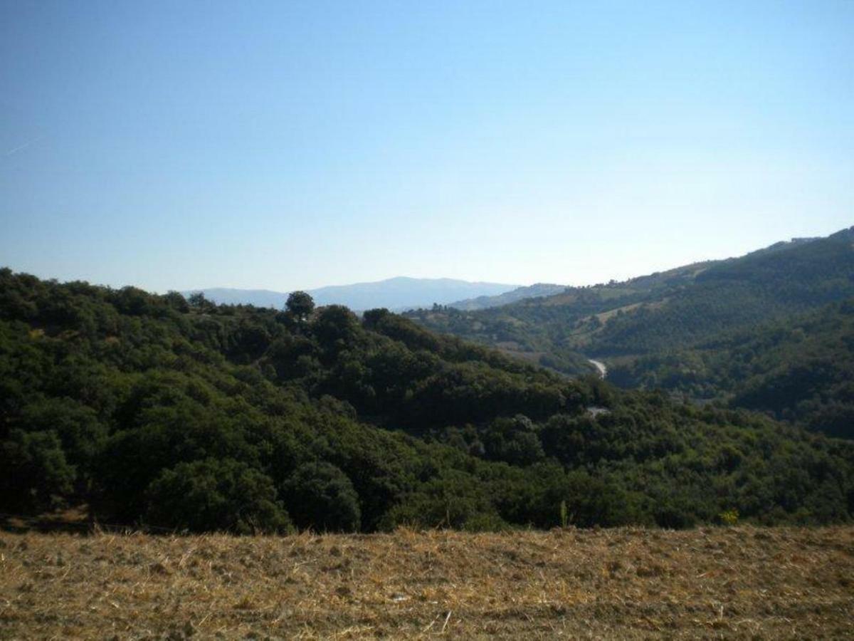 Agriturismo Il Melo Valfabbrica Kültér fotó
