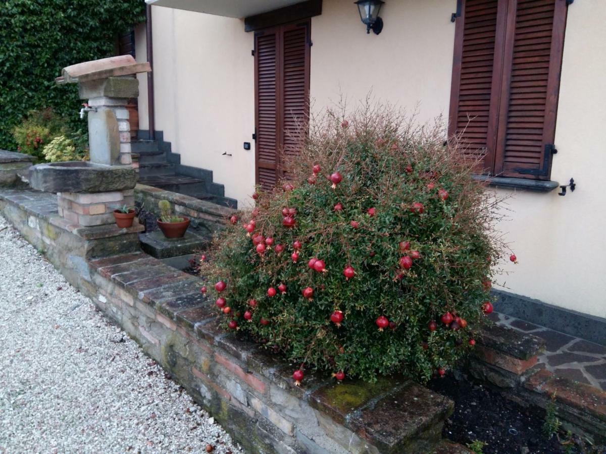 Agriturismo Il Melo Valfabbrica Kültér fotó